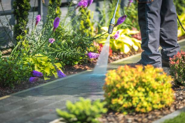Best Post-Construction Pressure Washing  in Arnold, CA